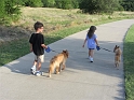 Kids_WalkinDogs (3)